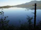 Lake Quinalt