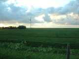 East Frisian landscape