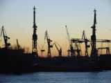 Cranes in Hamburg harbour